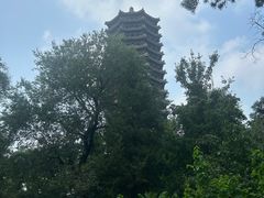 -博雅塔
