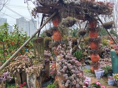 -三圣花乡旅游区