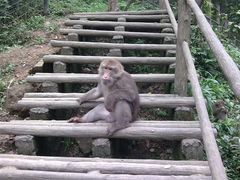 -峨眉山风景名胜区