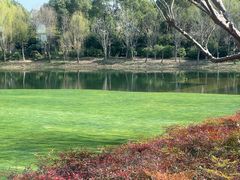 -养云安缦吧THE BAR