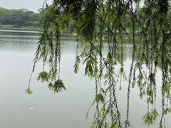 -东莞植物园