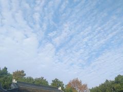 -上海佘山国家森林公园天马山园