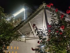 -大理老字号·舟渔的鱼野生菌海景餐厅(双廊店)