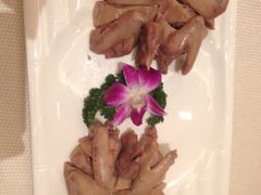 乳鸽-梅花香里大酒店(郁金香路店)