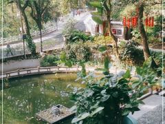 -广州市白云山风景名胜区
