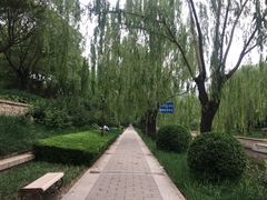 -元大都城垣遗址公园