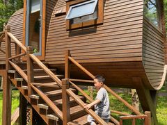 -黄海国家森林公园