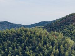 -莫干山风景区