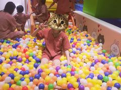 -汤W城市微度假(仓山店)