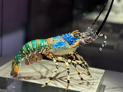 -福建省非物质文化遗产博览苑