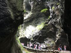 -牛背梁国家森林公园