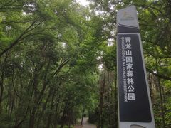 -青龙山国家森林公园