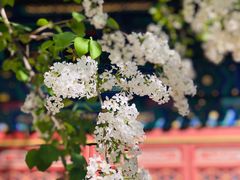 -潭柘寺景区