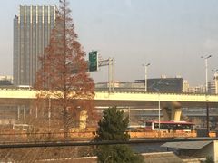 -莲花国际广场