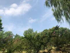 -东升八家郊野公园