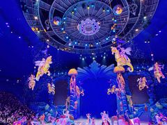 -海合安武汉极地海洋公园