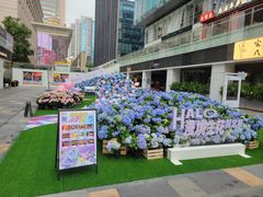 -HALO广场(梨园路店)