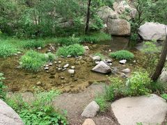 -碓臼峪自然风景区