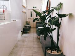 -树夏(金楠天街店)