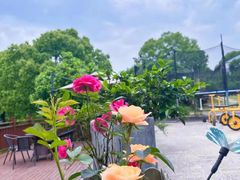 -杭州屏风山越野车营地·团建别墅轰趴民宿