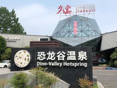 -久宴·天目湖大鱼头(恐龙园店)