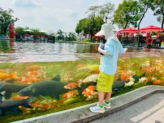 -南京银杏湖乐园