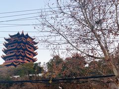 -黄鹤楼公园(黄鹤楼)