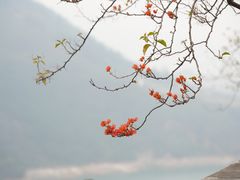-白帝城·瞿塘峡景区