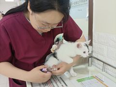 -美联众合动物医院·24h京西诊疗中心