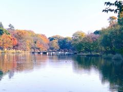 -井之头恩赐公园