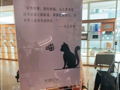 -新华文创·光的空间