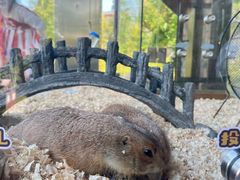 -珠海海泉湾神秘岛亲子乐园