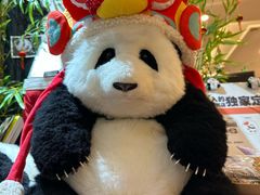 -轩客会(熊猫书店)