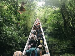-天目湖山水园