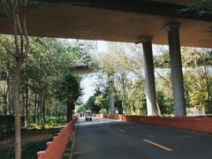 -东郊湿地公园