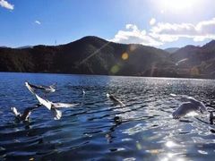-泸沽湖里格半岛