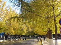 -辽宁大学(崇山校区)