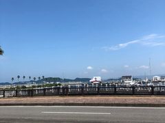 -黑潮市场