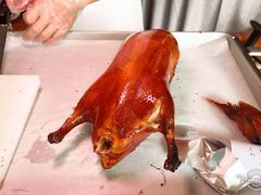 -秀儿四九城·新京菜(亚运村鸟巢店)