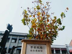 -飞马旅黎黄陂路文旅街区