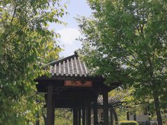 -黑龙江省森林植物园