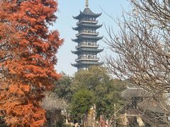 -乌镇西栅景区