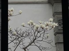 -耦园