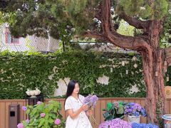 -阿兹凯乐·老洋房西餐