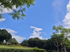 -紫马岭公园