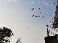 -前门兵部洼胡同停车场