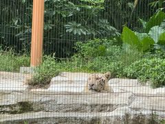 -广州长隆野生动物世界