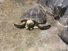 -石家庄市动物园