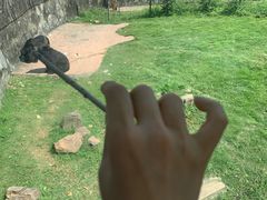 -无锡动物园·太湖欢乐园