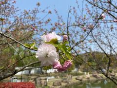 -白马涧龙池景区